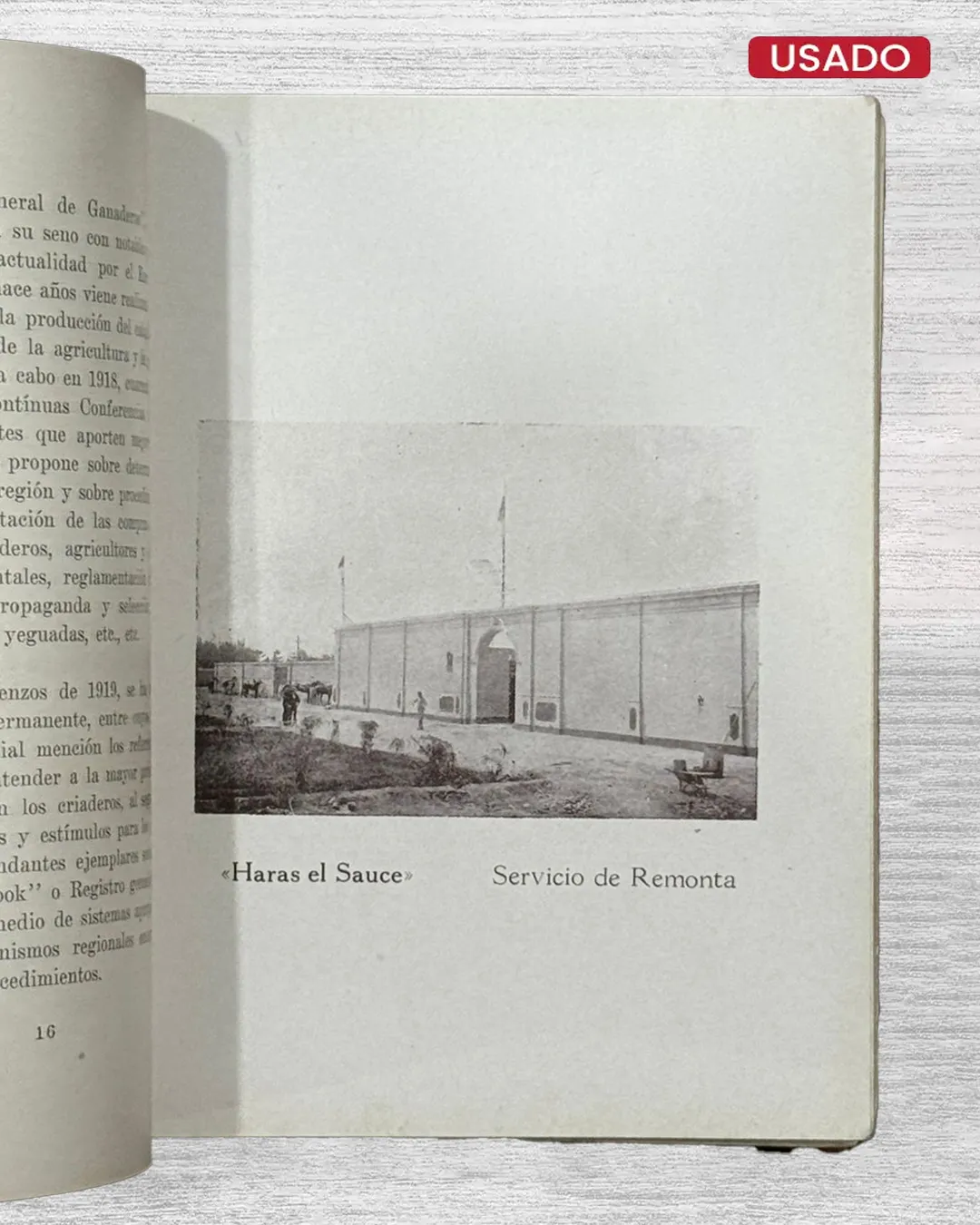 GRAN EXPOSICIÓN DE PRODUCTOS NACIONALES – CABALLOS DE PASO Y DE TROTE - Imagen 3