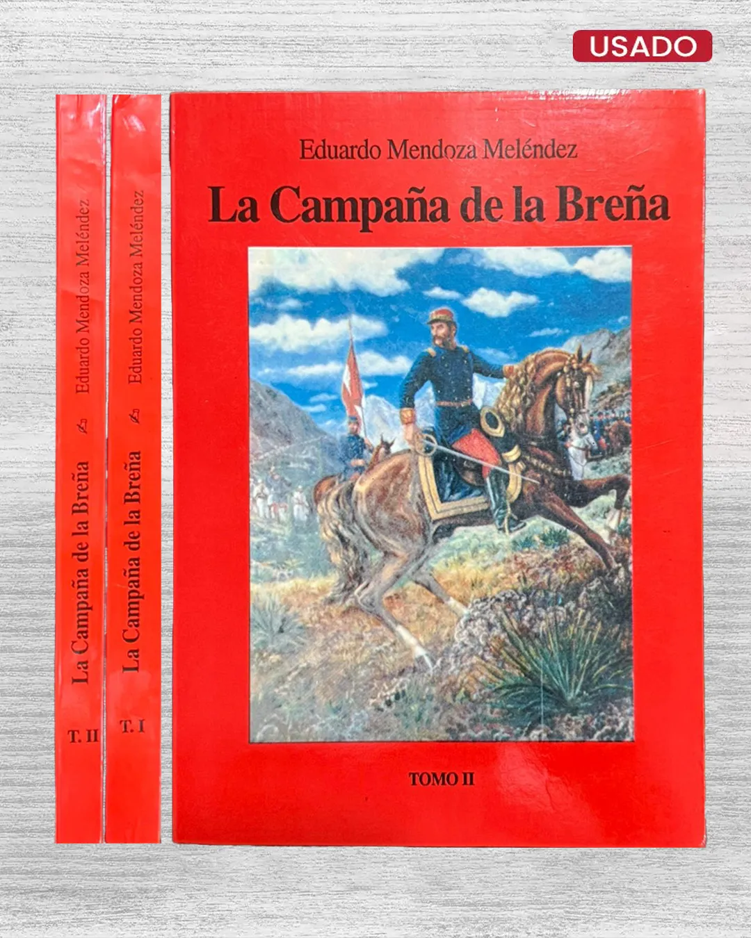 LA CAMPAÑA DE LA BREÑA - Imagen 2