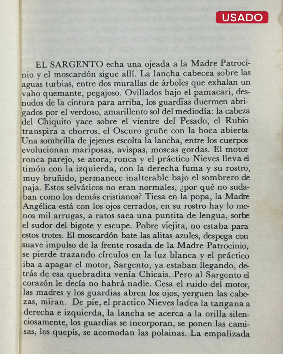 LA CASA VERDE - Imagen 2