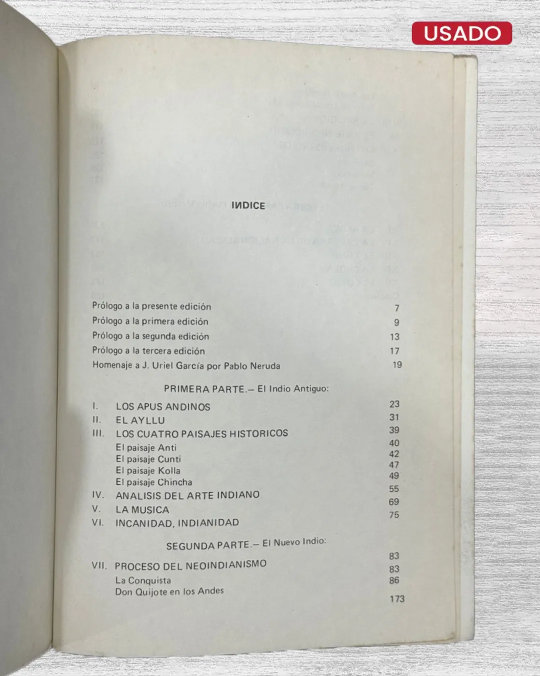 EL NUEVO INDIO - Imagen 2