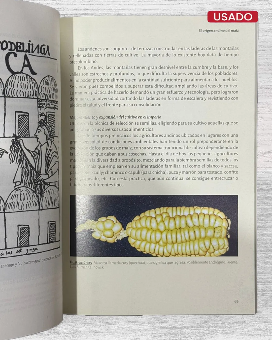 EL ORIGEN ANDINO DEL MAÍZ - Imagen 3