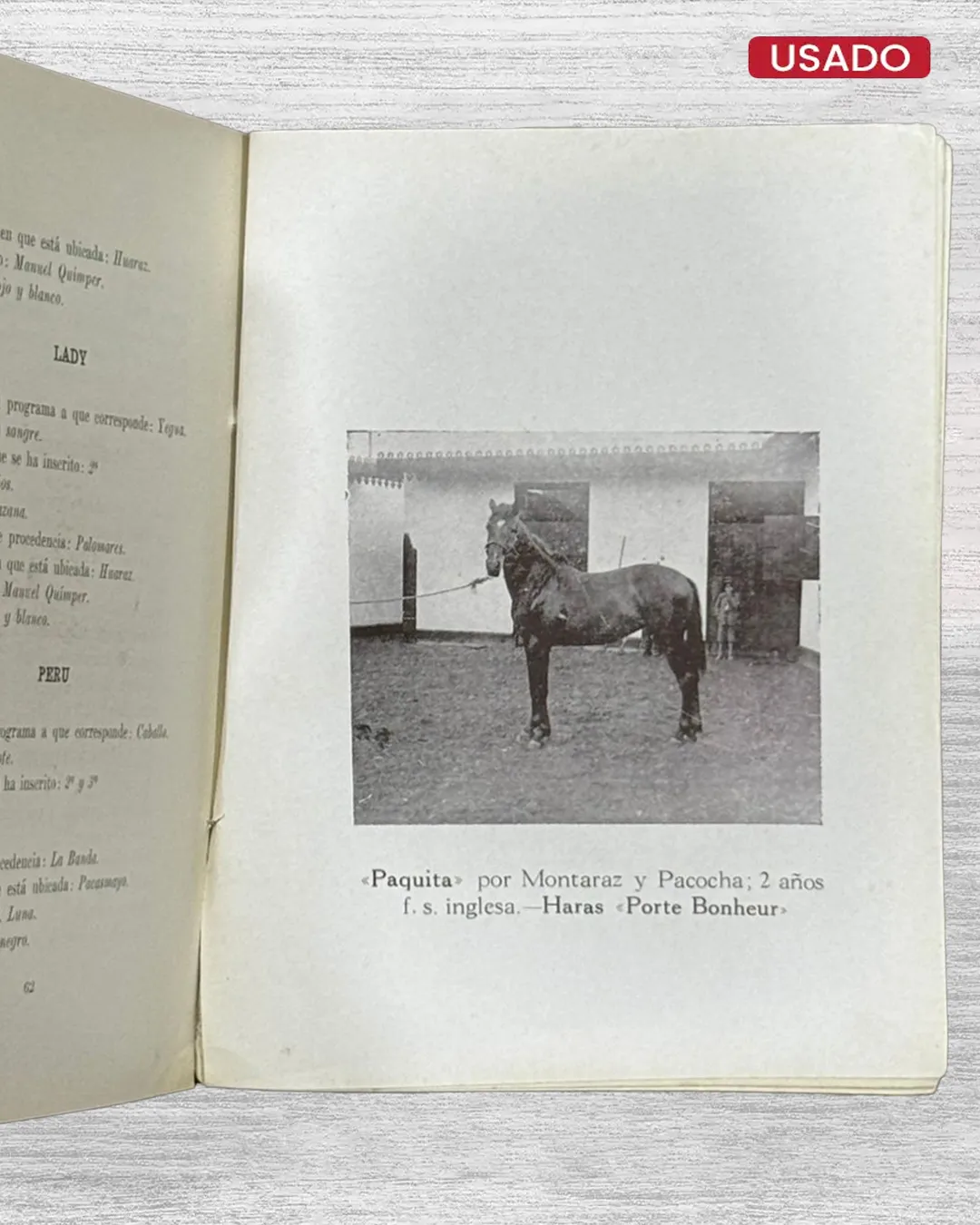 GRAN EXPOSICIÓN DE PRODUCTOS NACIONALES – CABALLOS DE PASO Y DE TROTE - Imagen 2