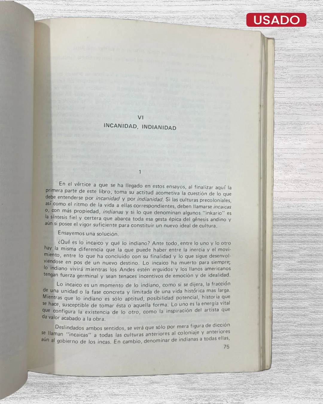 EL NUEVO INDIO - Imagen 3