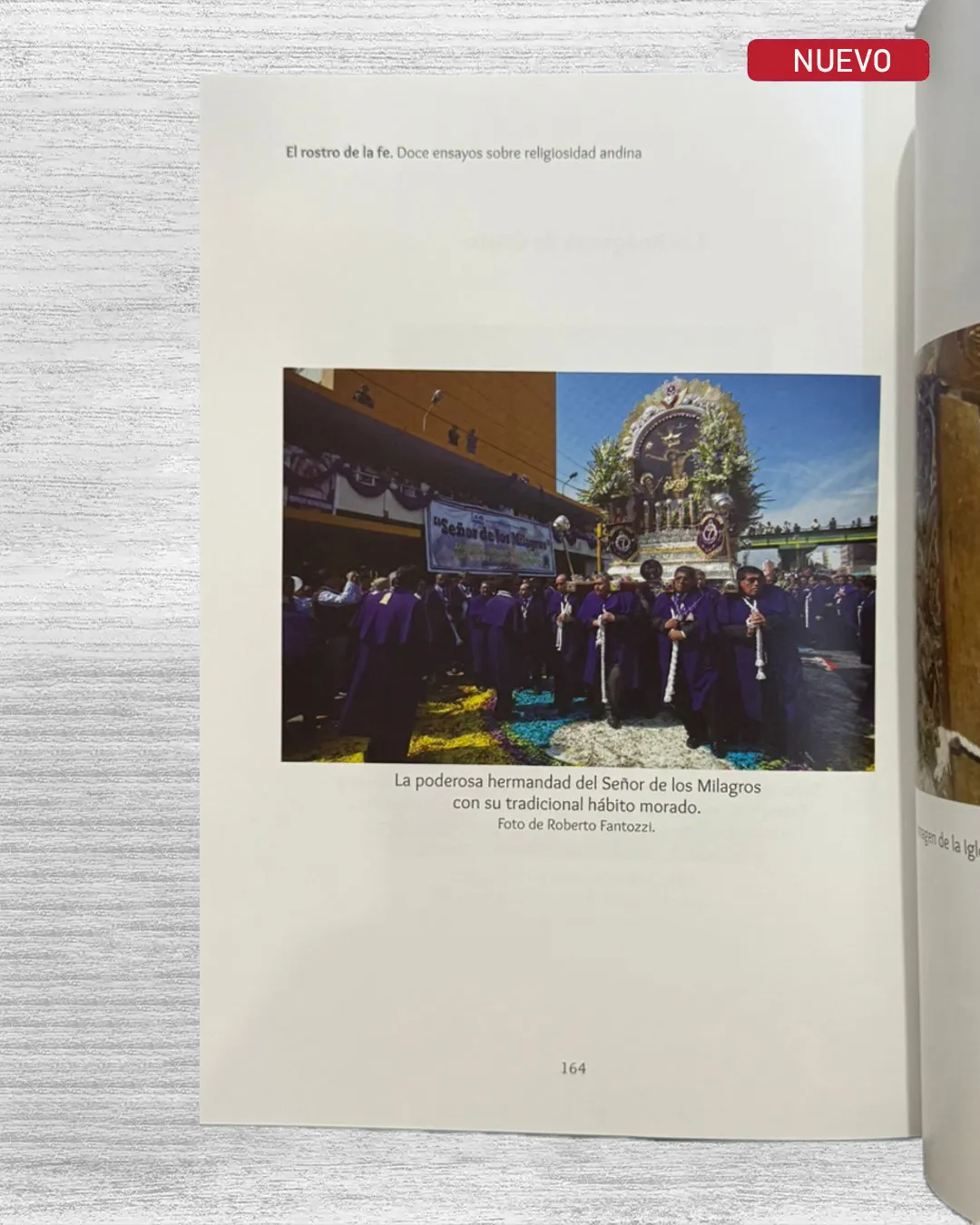 EL ROSTRO DE LA FE. DOCE ENSAYOS SOBRE RELIGIOSIDAD ANDINA - Imagen 3
