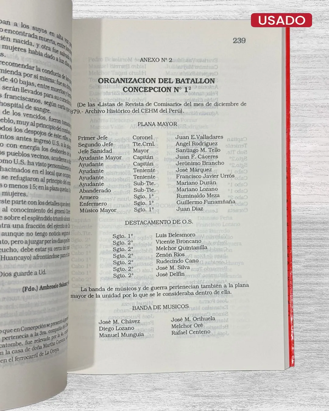 LA CAMPAÑA DE LA BREÑA - Imagen 3