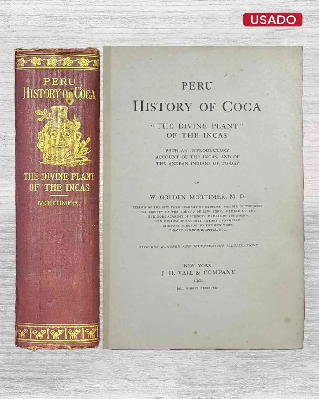 PERÚ: HISTORY OF COCA “THE DIVINE PLANT” OF THE INCAS (TEXTO EN INGLÉS)