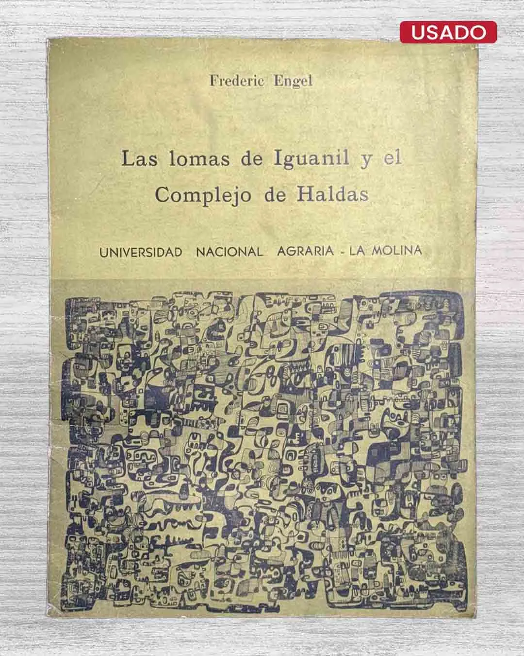 LAS LOMAS DE IGUANIL Y EL COMPLEJO DE HALDAS