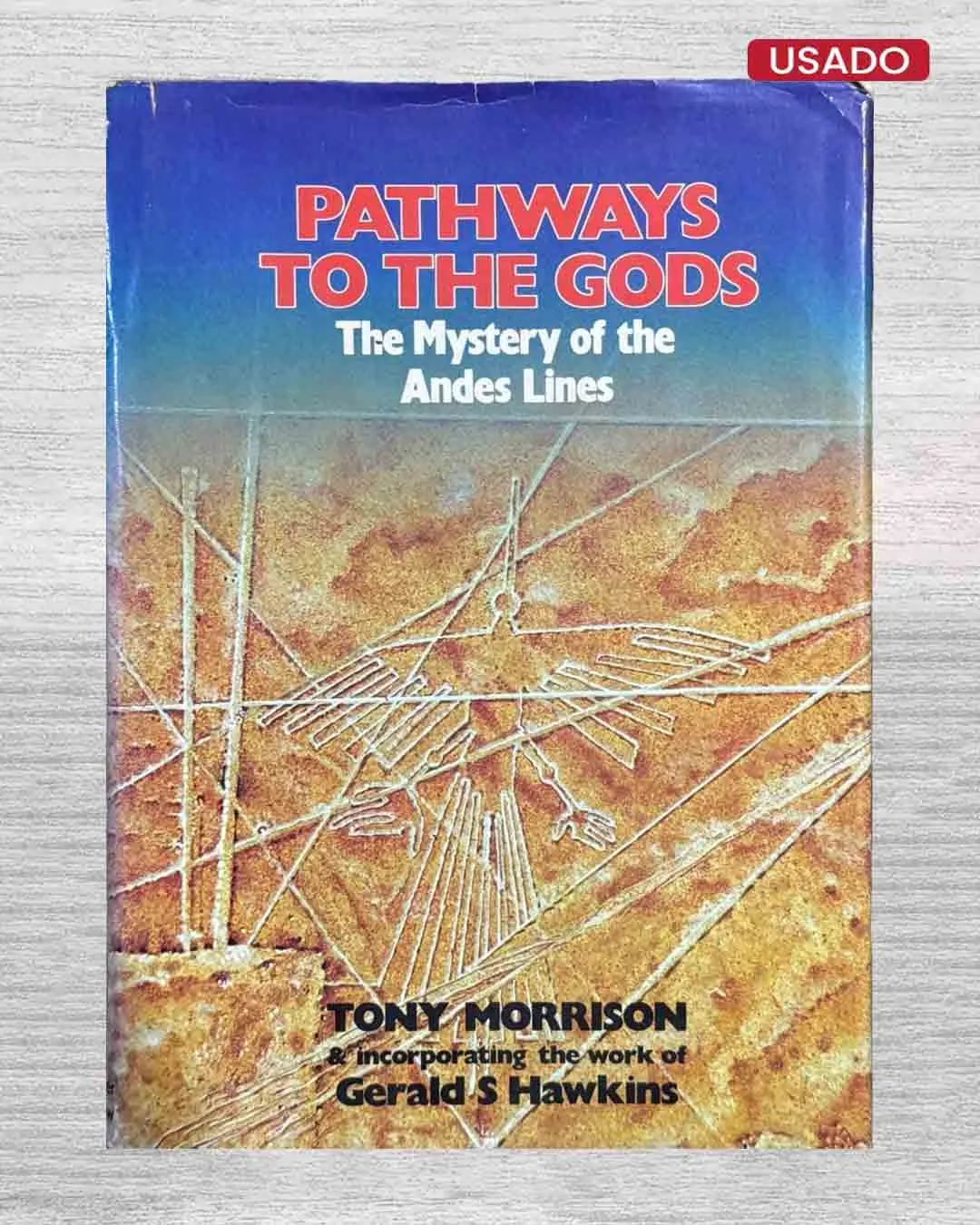 PATHWAYS TO THE GODS: THE MYSTERY OF THE ANDES LINES