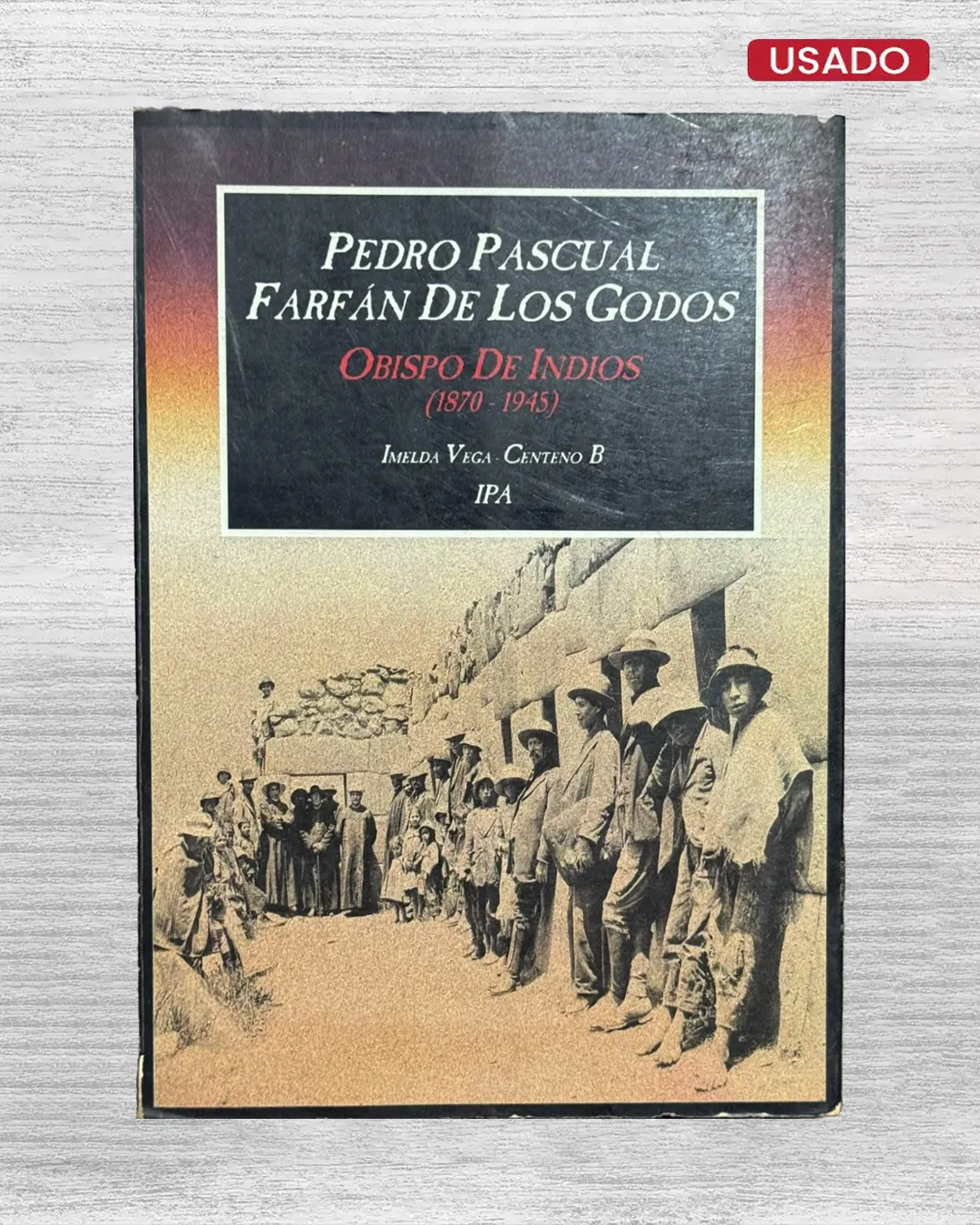 PEDRO PASCUAL, FARFÁN DE LOS GODOS: OBISPO DE INDIOS (1870 – 1945)