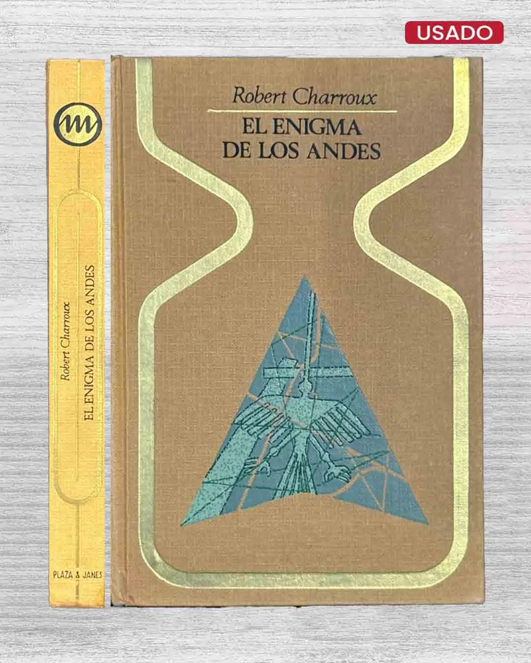 EL ENIGMA DE LOS ANDES