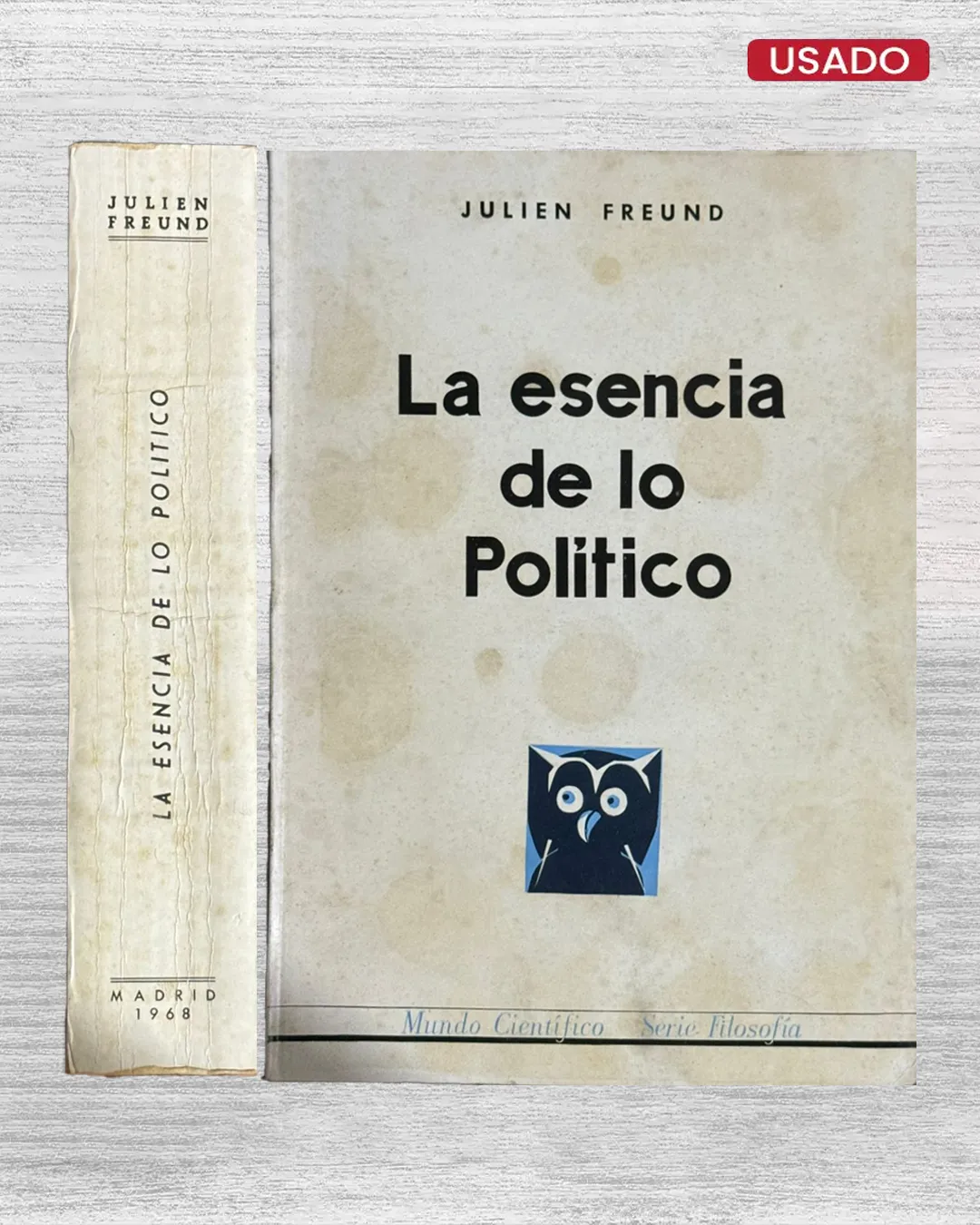 LA ESENCIA DE LO POLÍTICO