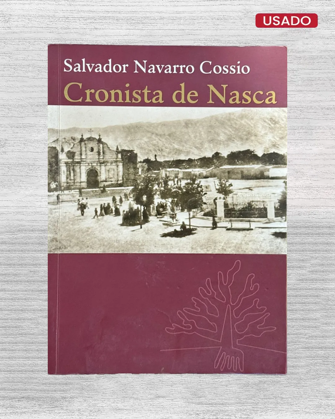 CRONISTA DE NASCA
