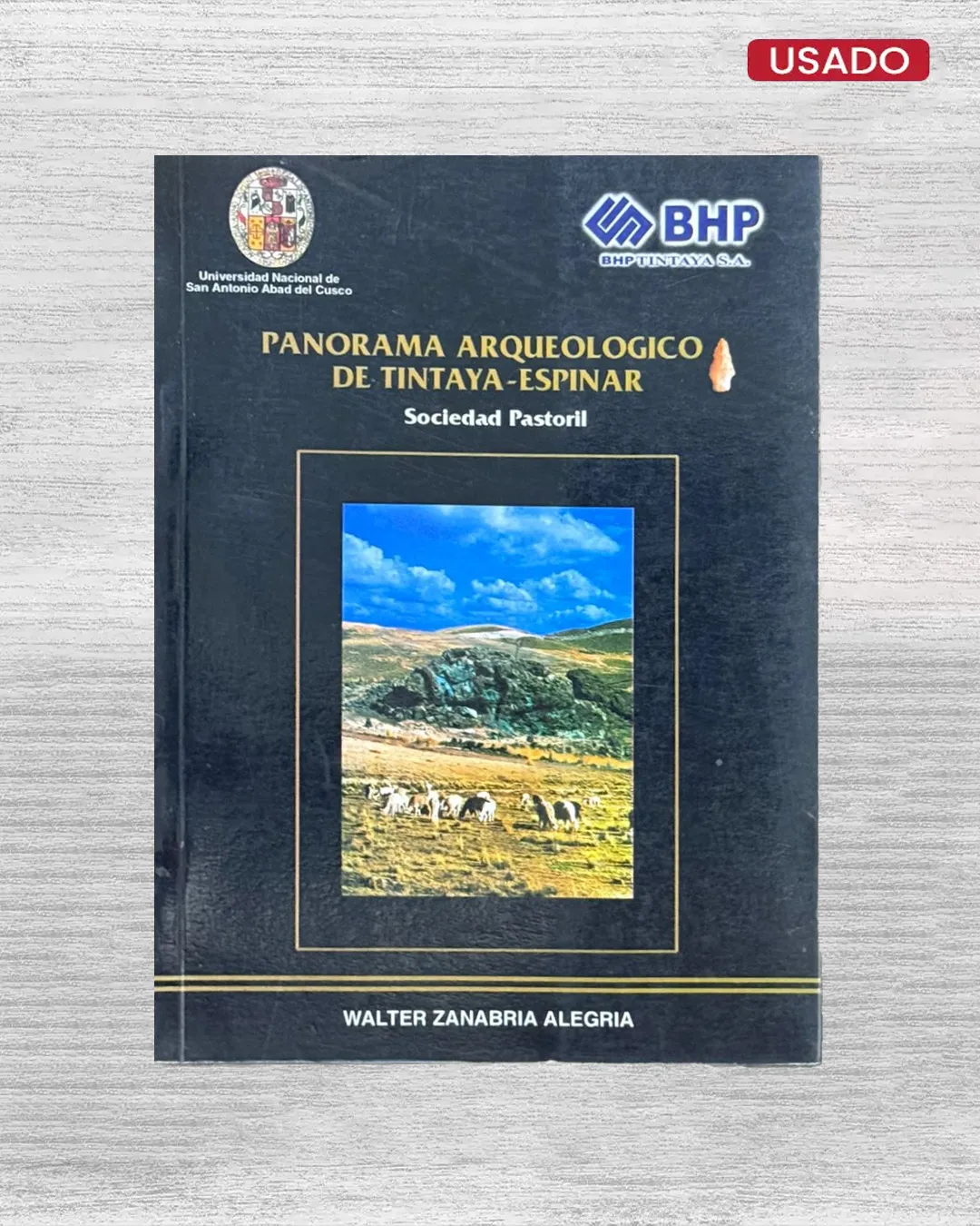 PANORAMA ARQUEOLÓGICO DE TINTAYA-ESPINAR (SOCIEDAD PASTORIL)