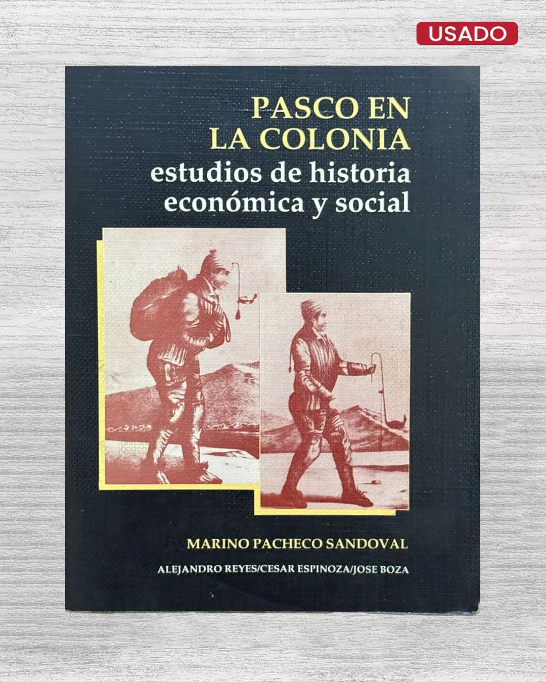 PASCO EN LA COLONIA. ESTUDIOS DE HISTORIA ECONÓMICA Y SOCIAL