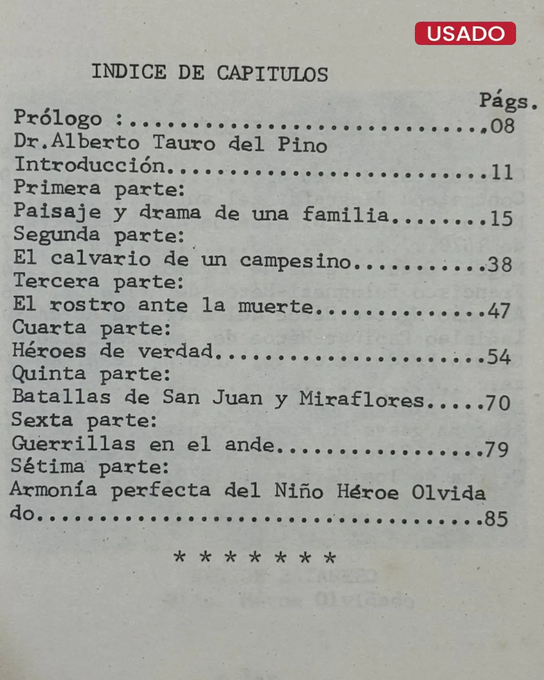NIÑO HÉROE DE LA GUERRA DE 1879 - Imagen 2