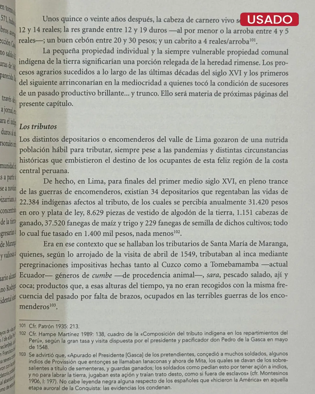 HACIENDAS Y PUEBLOS DE LIMA. HISTORIA DEL VALLE DEL RÍMAC. EL INICIO DEL VALLE DE MAGDALENA: CERCADO DE LIMA Y BREÑA - Imagen 3