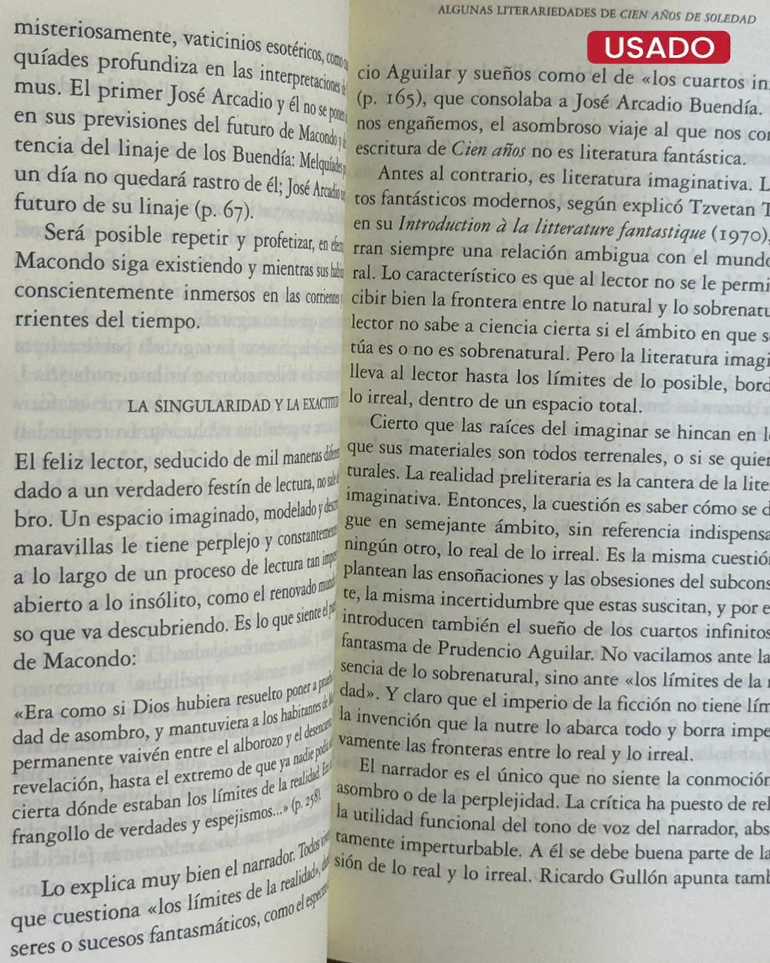 CIEN AÑOS DE SOLEDAD - Imagen 2