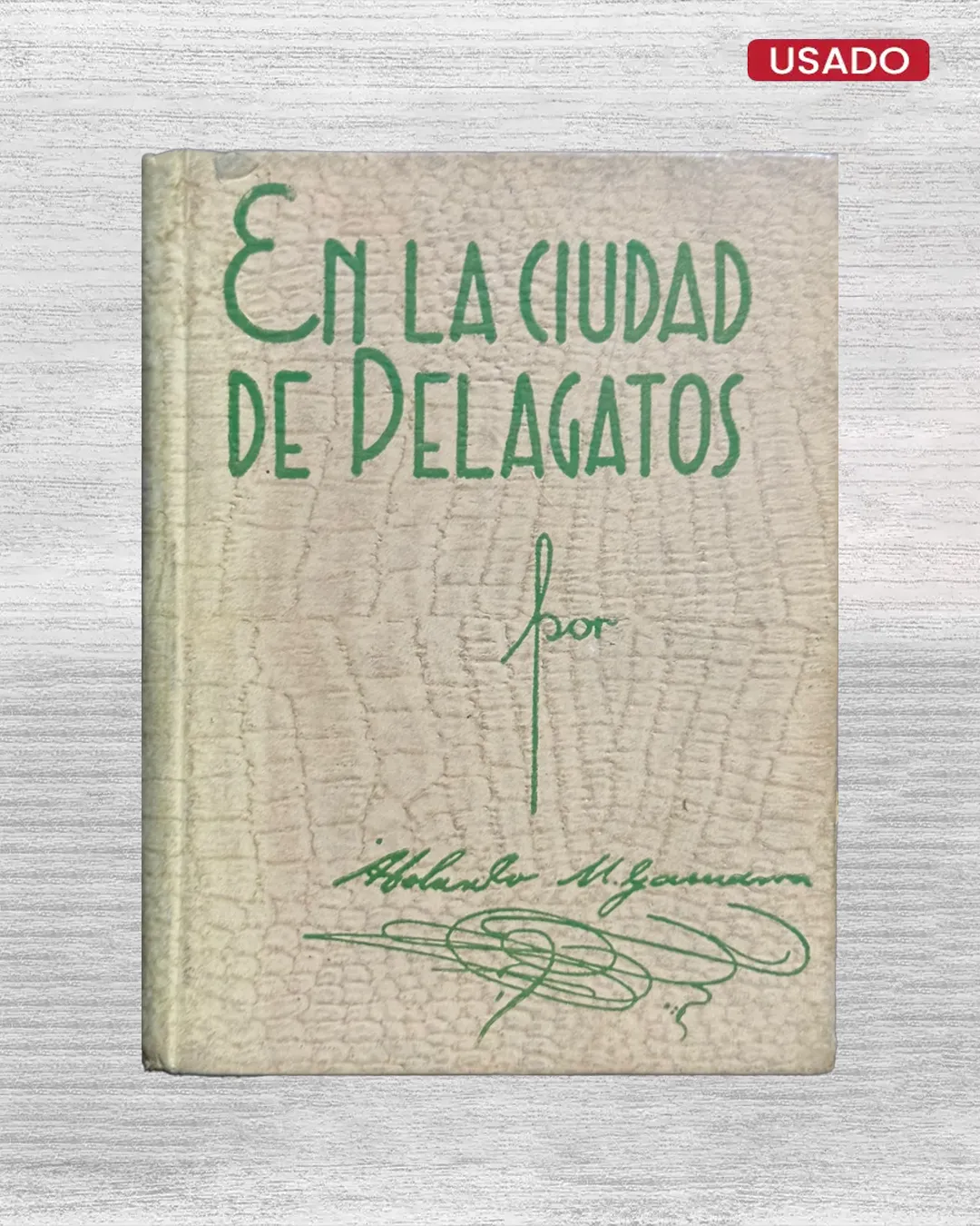 EN LA CIUDAD DE PELAGATOS