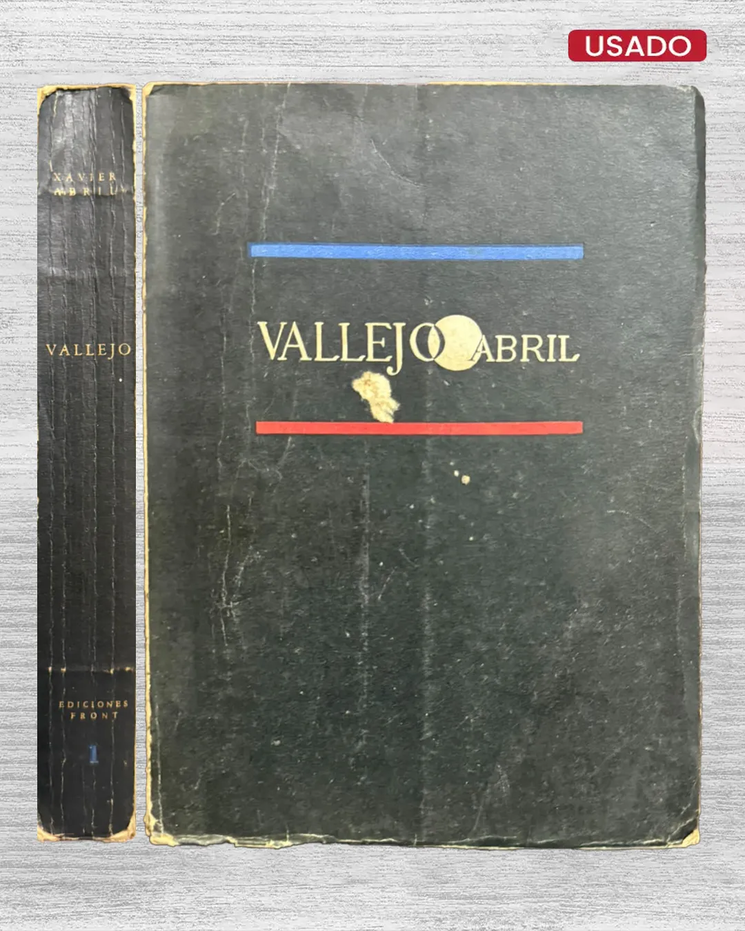 VALLEJO: ENSAYO DE APROXIMACIÓN CRÍTICA