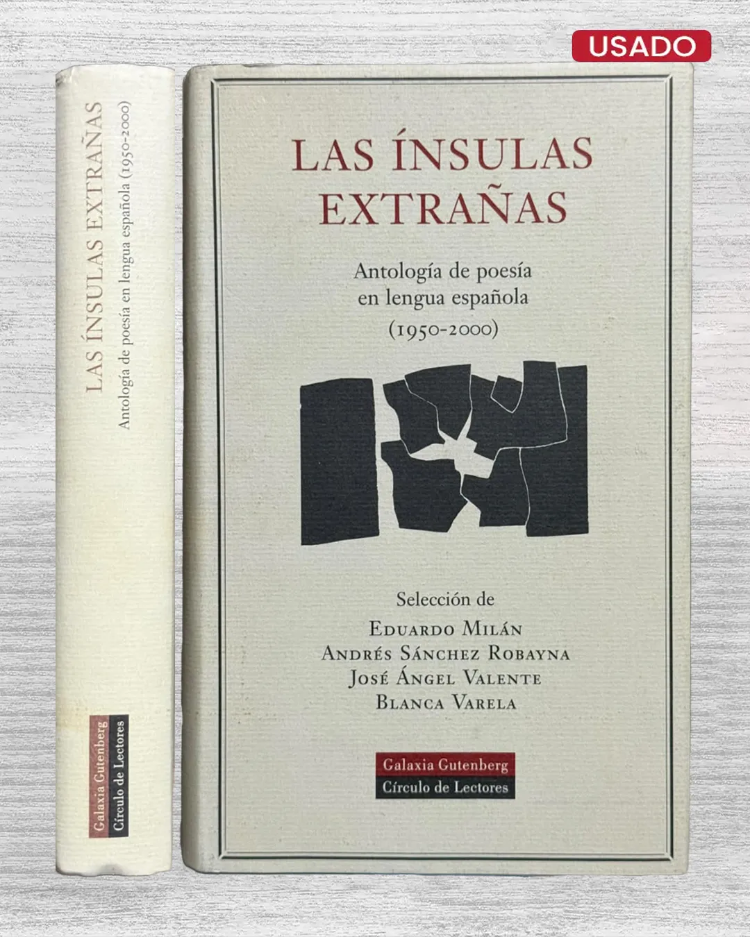 LAS INSULTAS EXTRAÑAS. ANTOLOGÍA DE POESÍA EN LENGUA ESPAÑOLA (1950 – 2000)