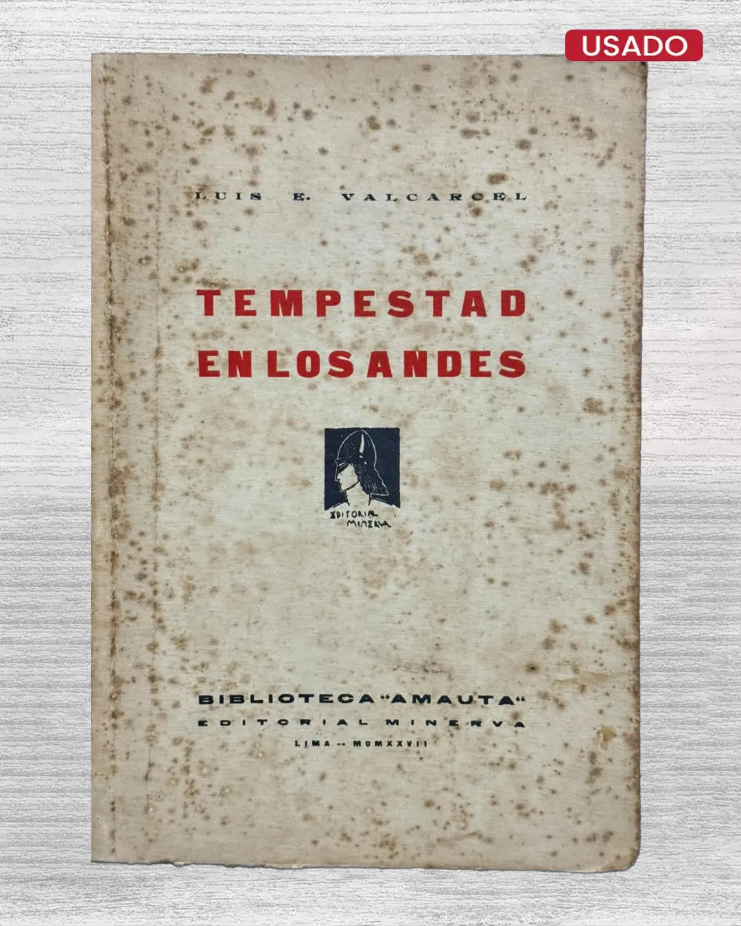 TEMPESTAD EN LOS ANDES