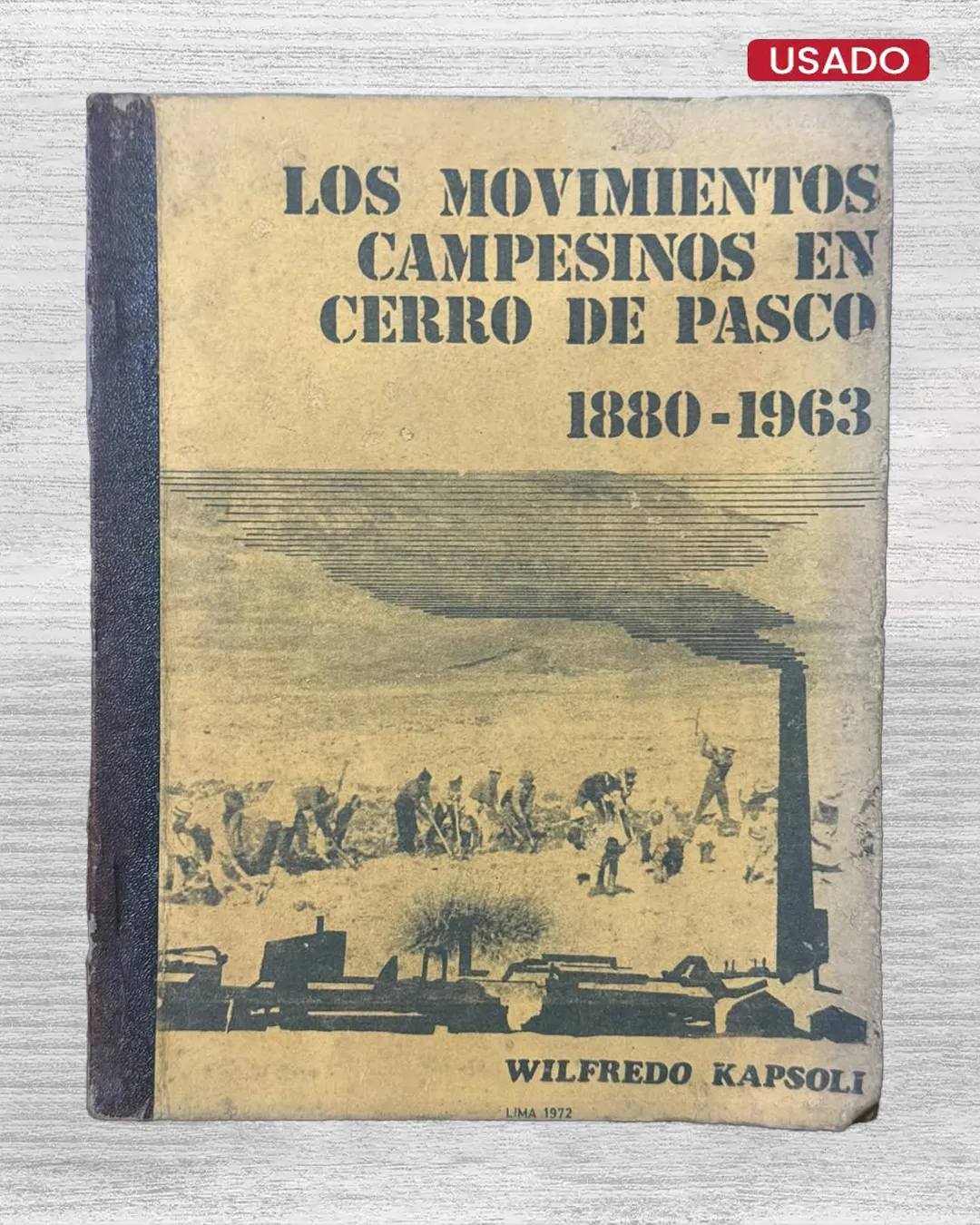 AYLLUS DEL SOL. ANARQUISMO Y UTOPIA ANDINA
