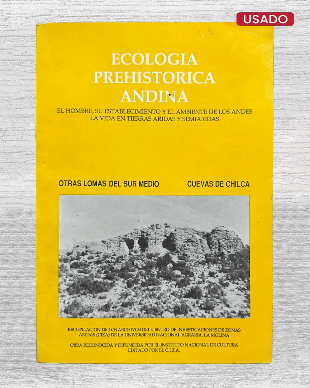 ECOLOGÍA PREHISTÓRICA ANDINA. EL HOMBRE, SU ESTABLECIMIENTO Y EL AMBIENTE DE LOS ANDES, LA VIDA EN TIERRAS ÁRIDAS Y SEMIÁRIDAS – OTRAS LOMAS DEL SUR MEDIO / CUEVAS DE CHILC