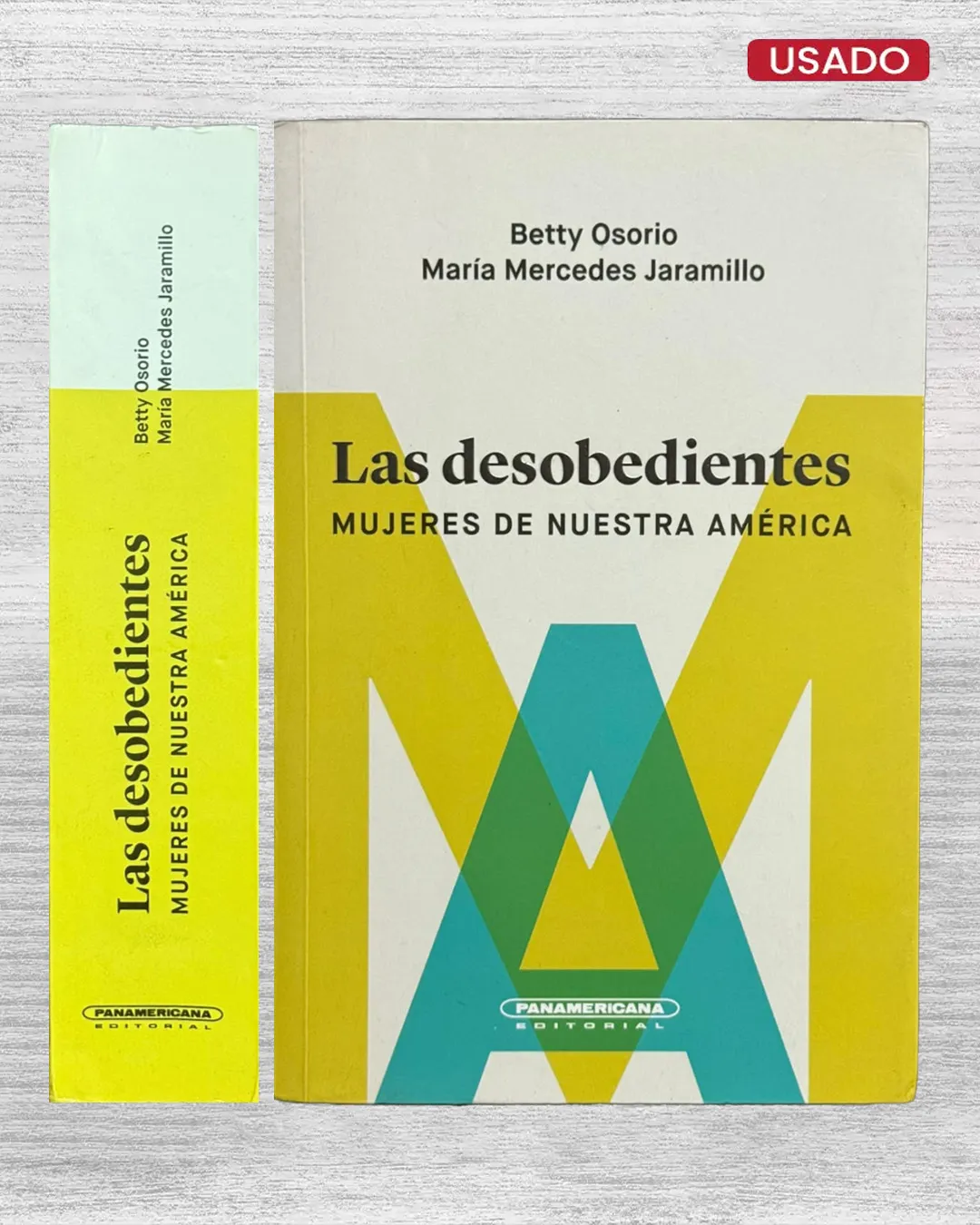 LAS DESOBEDIENTES. MUJERES DE NUESTRA AMÉRICA