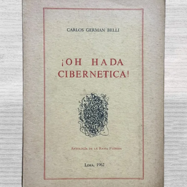 ¡OH HADA CIBERNÉTICA! (CUENTA CON FIRMA DEL AUTOR)