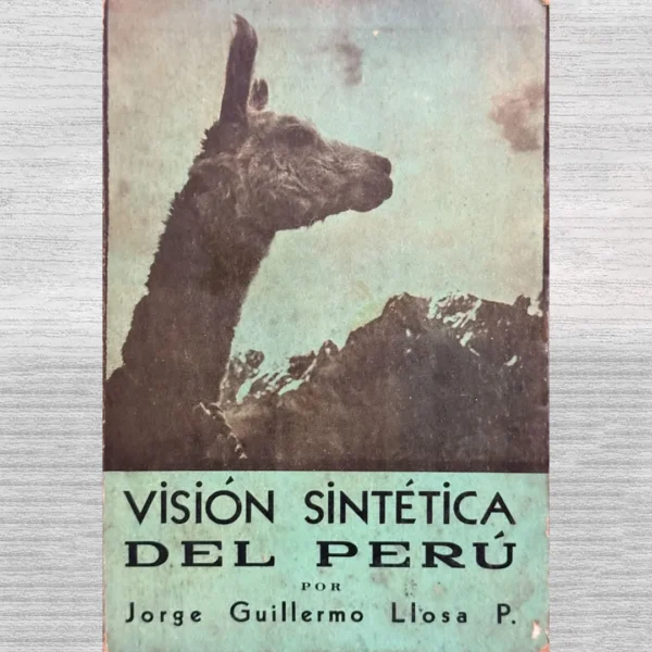 VISION SINTÉTICA DEL PERÚ