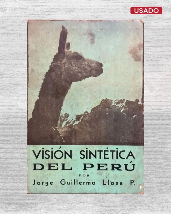 VISION SINTÉTICA DEL PERÚ