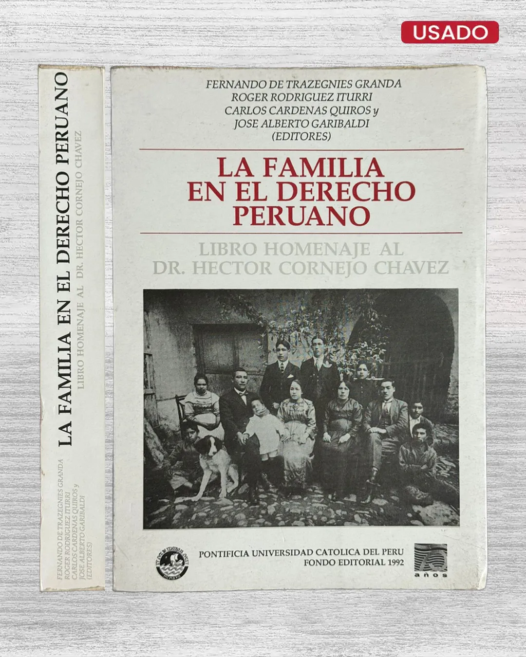 LA FAMILIA EN EL DERECHO PERUANO