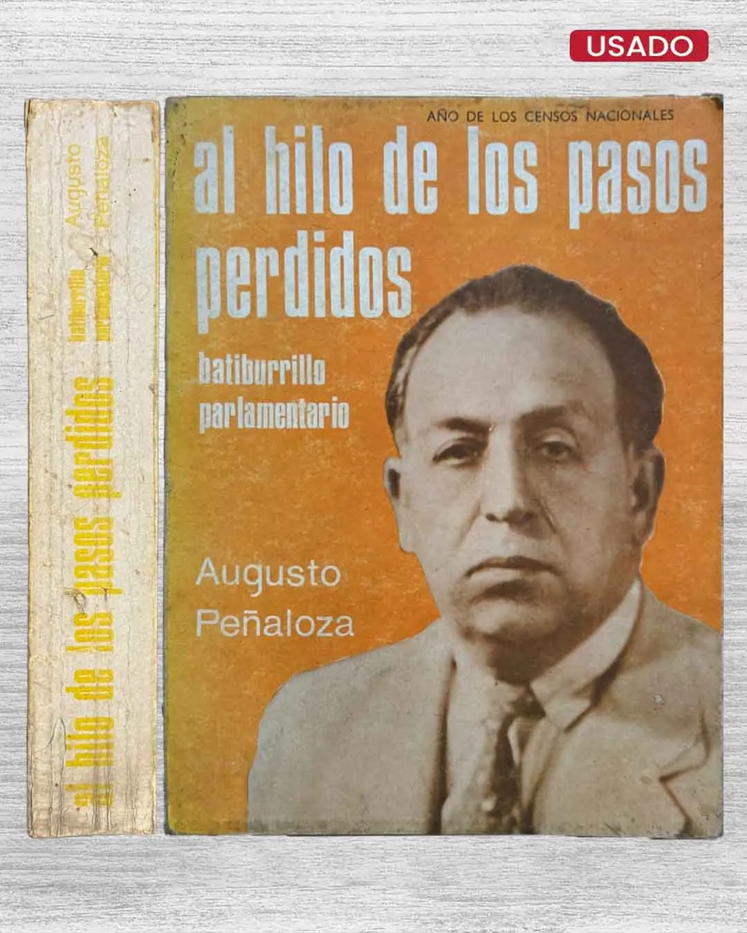 AL HILO DE LOS PASOS PERDIDOS. BATURRILLO PARLAMENTARIO