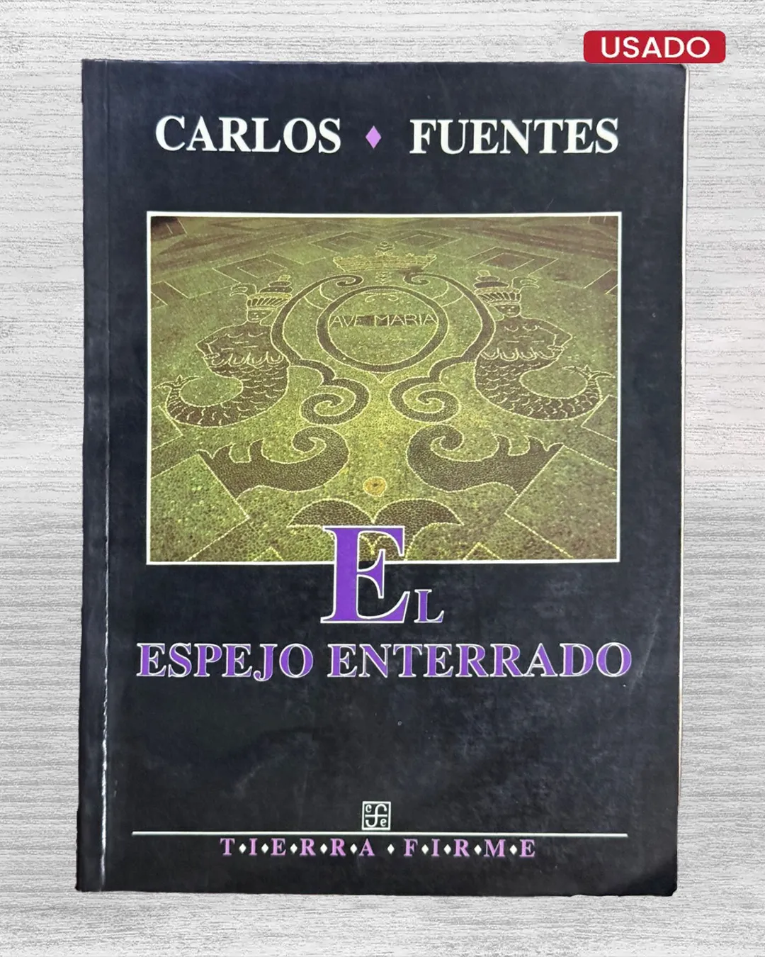 EL ESPEJO ENTERRADO