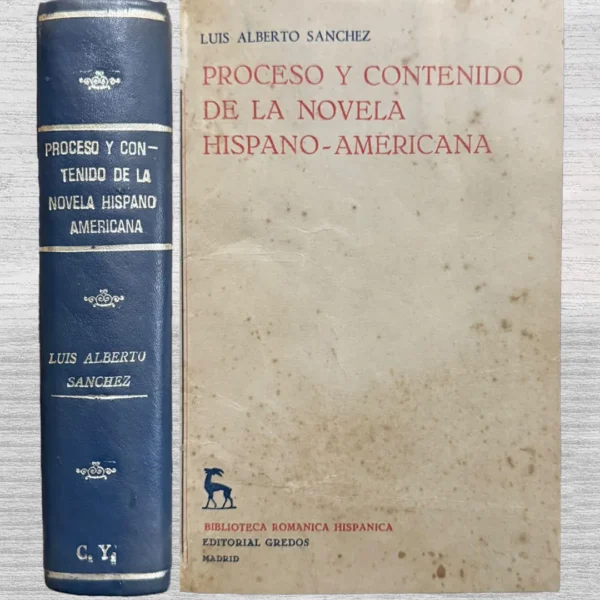 PROCESO Y CONTENIDO DE LA NOVELA HISPANO-AMERICANA