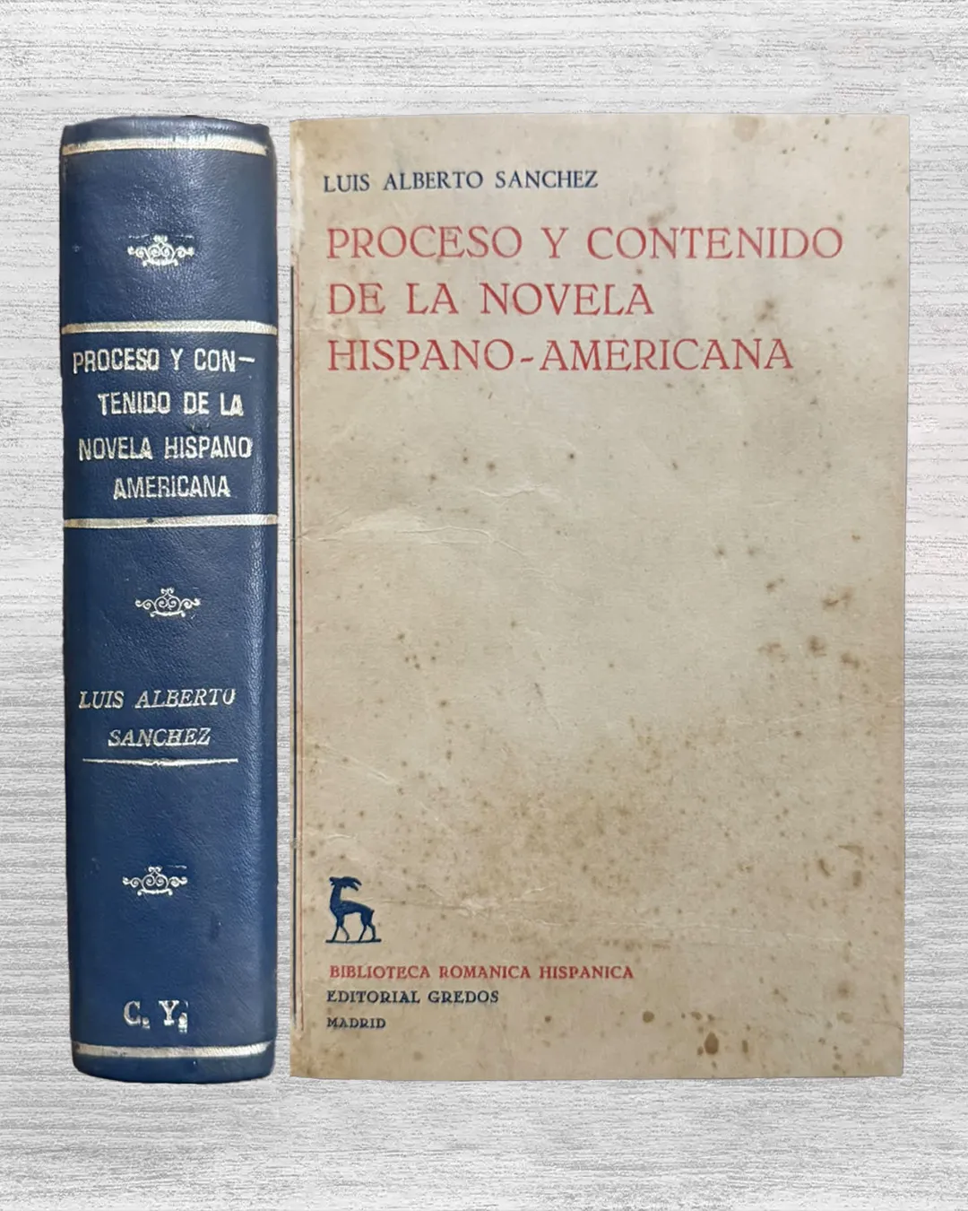 PROCESO Y CONTENIDO DE LA NOVELA HISPANO-AMERICANA