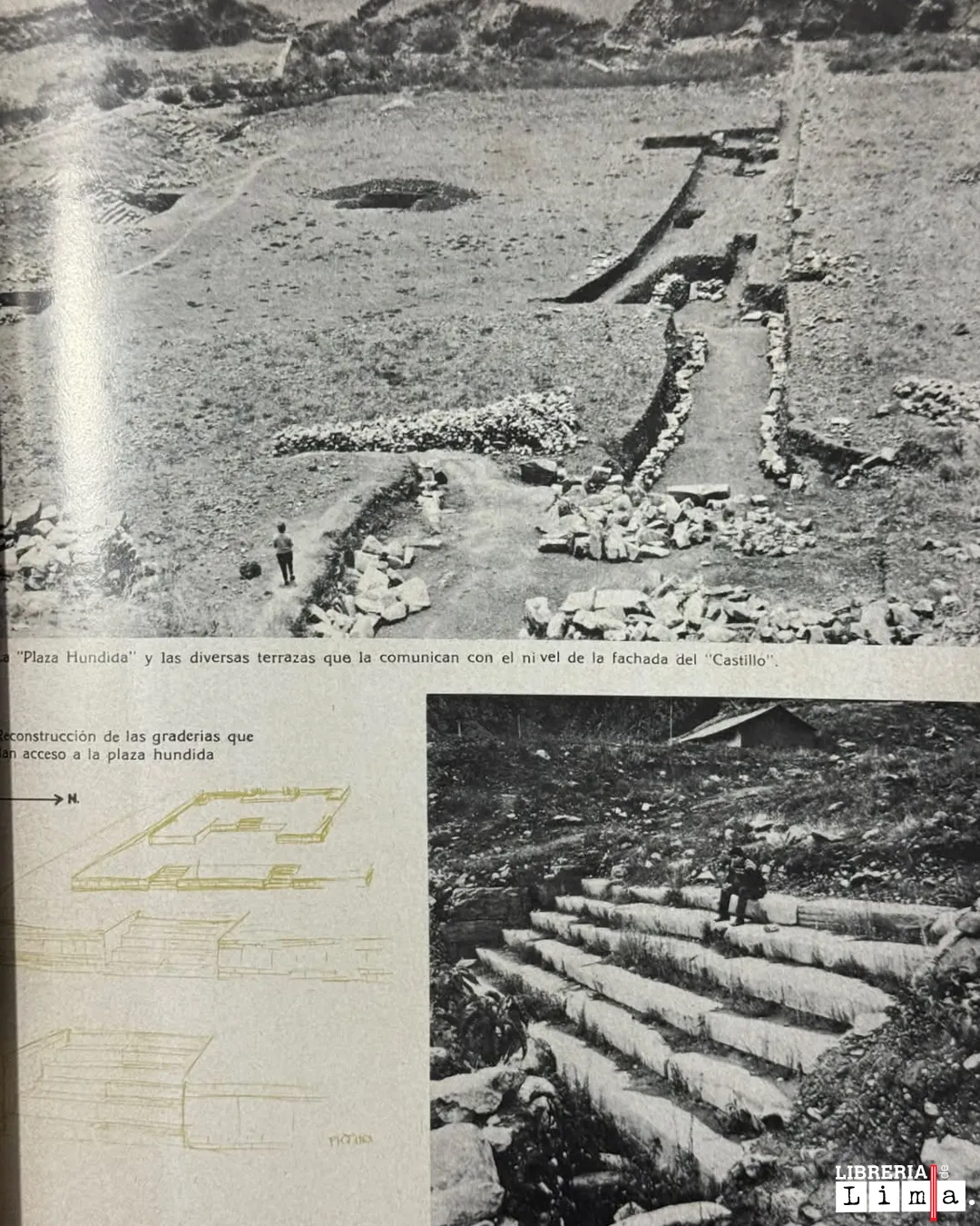 IMAGEN DE CHAVÍN - Imagen 2