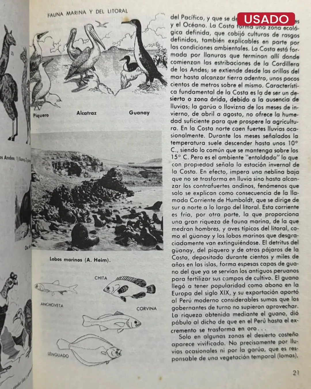 HISTORIA GENERAL DE LOS PERUANOS - Imagen 4