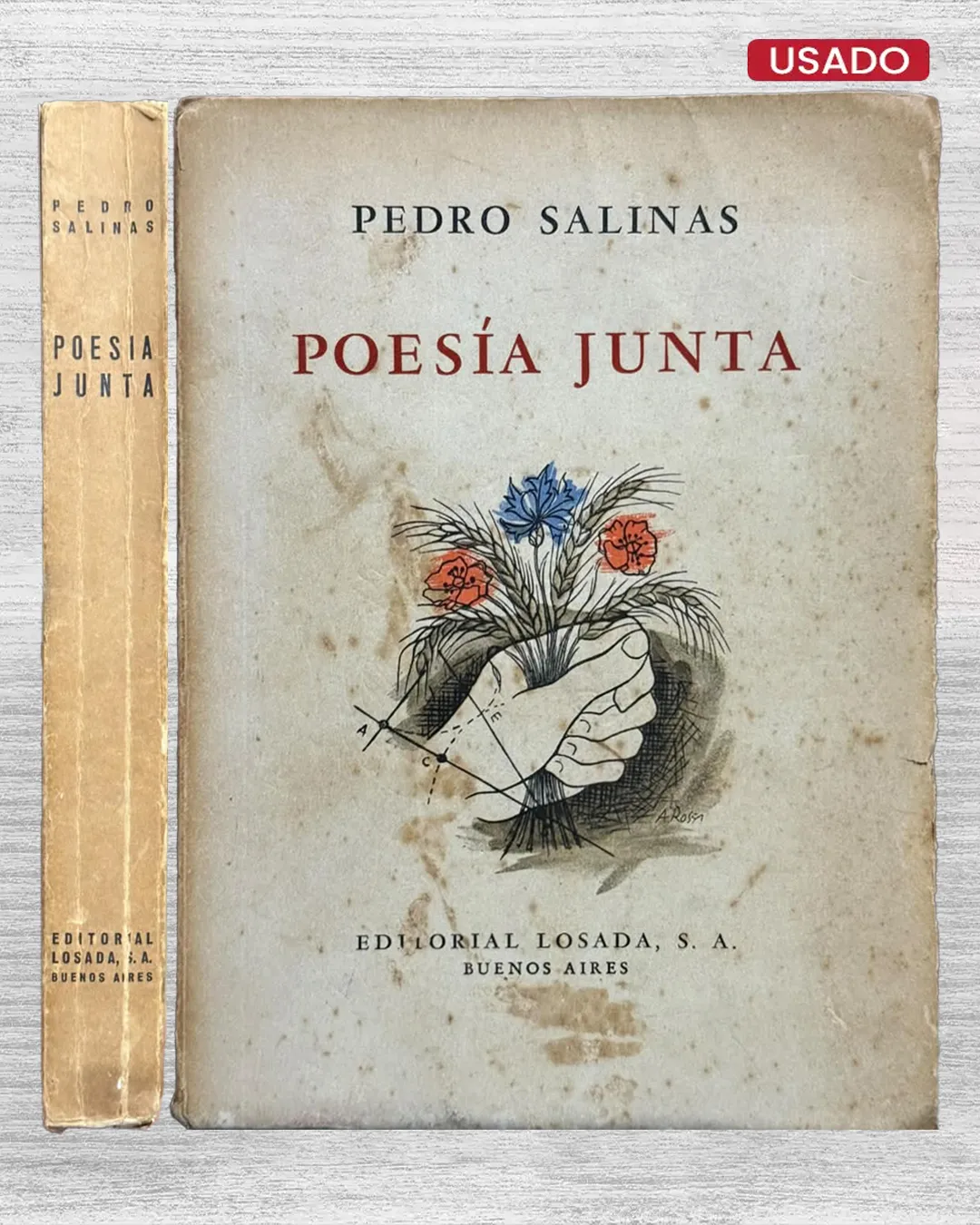 PEDRO SALINAS: POESÍA JUNTA