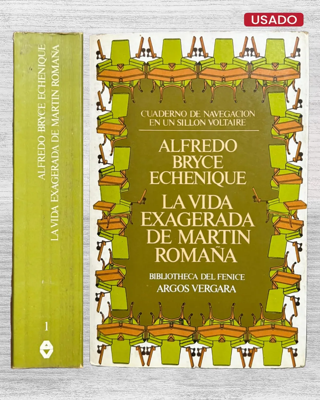 LA VIDA EXAGERADA DE MARTÍN ROMAÑA
