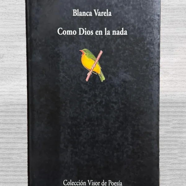 COMO DIOS EN LA NADA