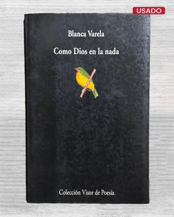 COMO DIOS EN LA NADA