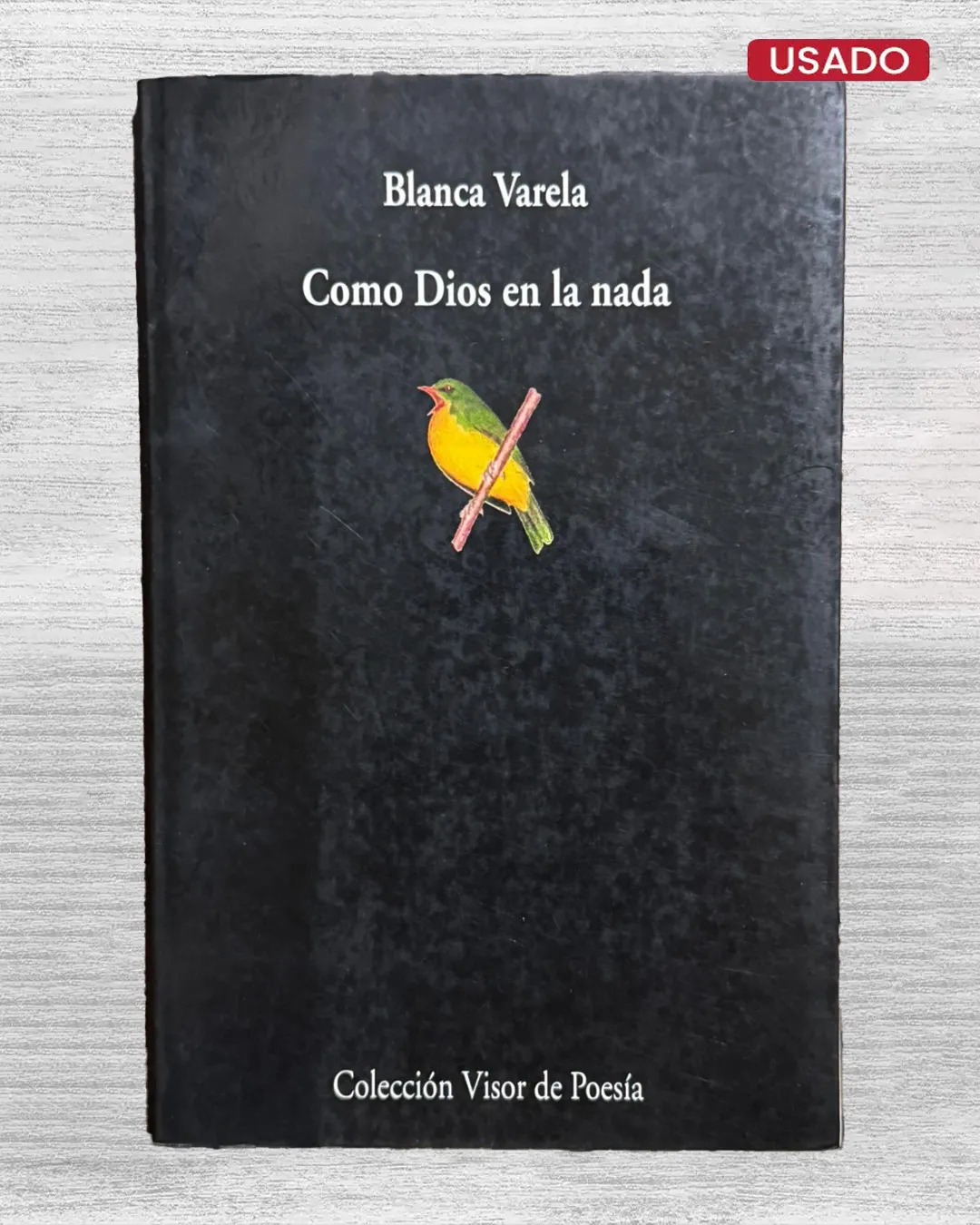 COMO DIOS EN LA NADA
