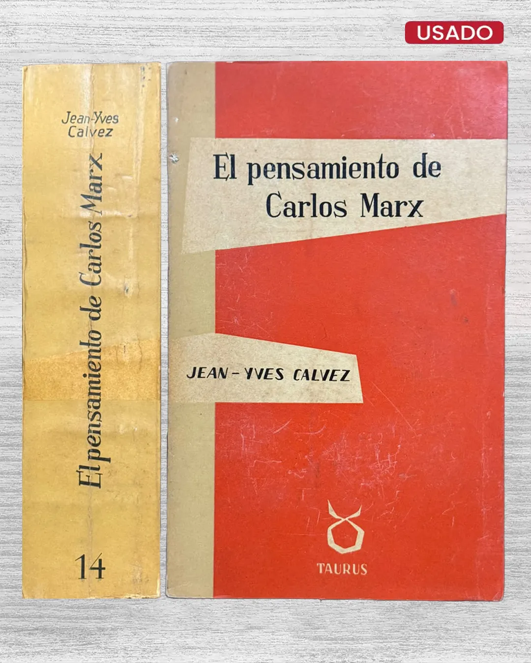EL PENSAMIENTO DE CARLOS MARX