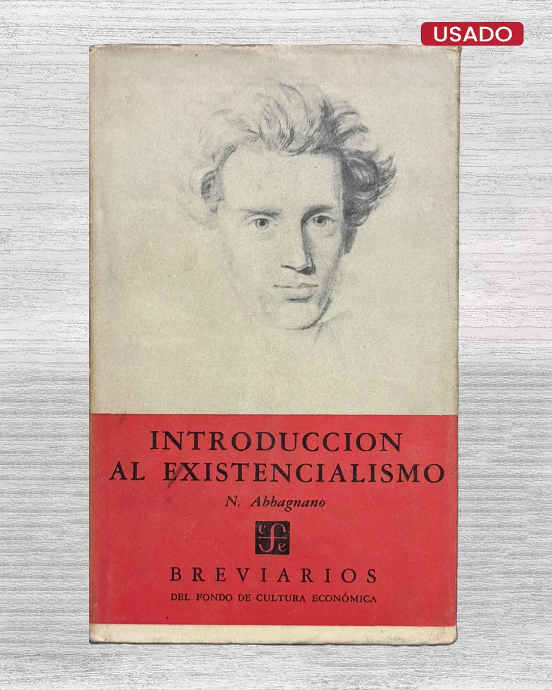 INTRODUCCION AL EXISTENCIALISMO