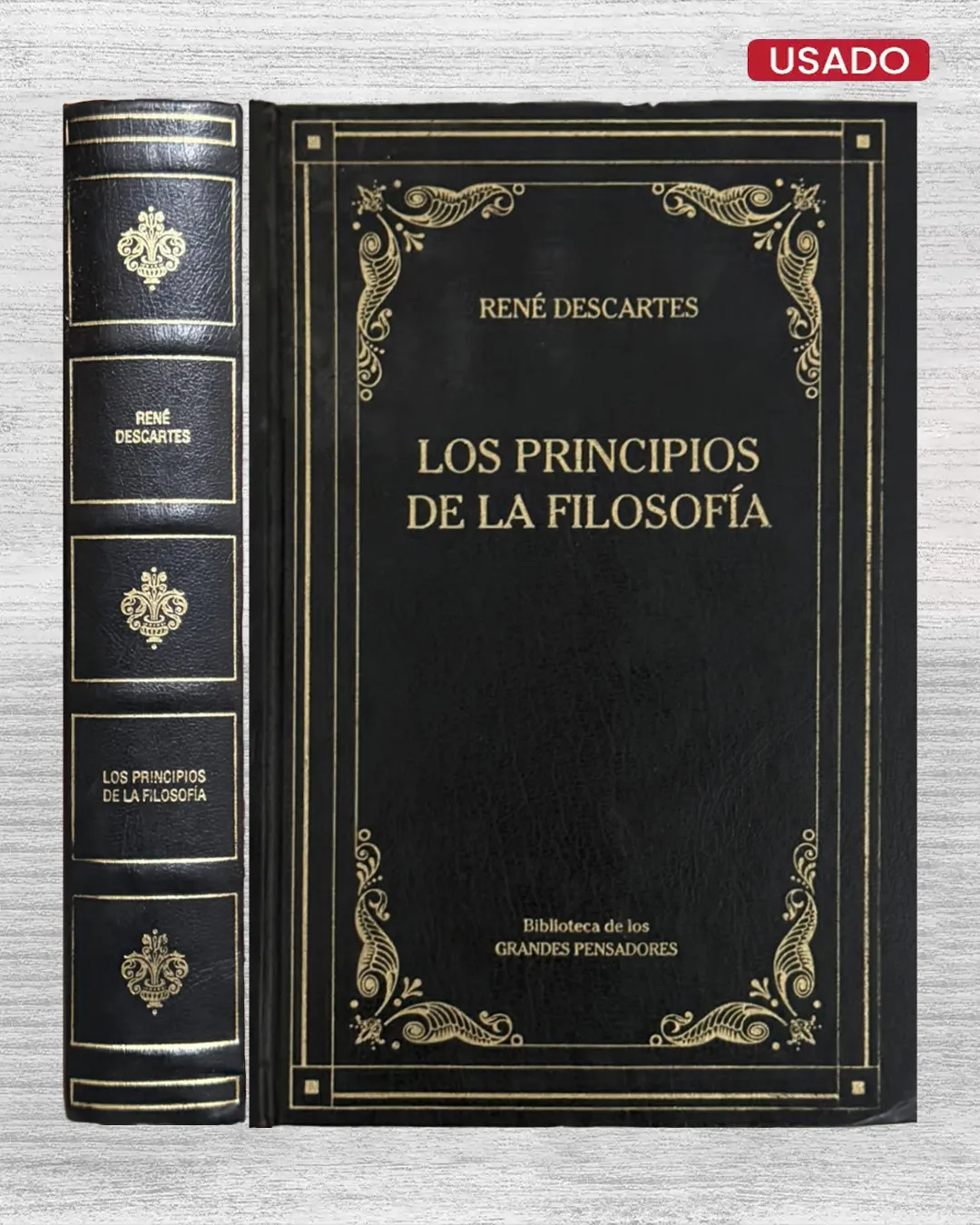 LOS PRINCIPIOS DE LA FILOSOFÍA