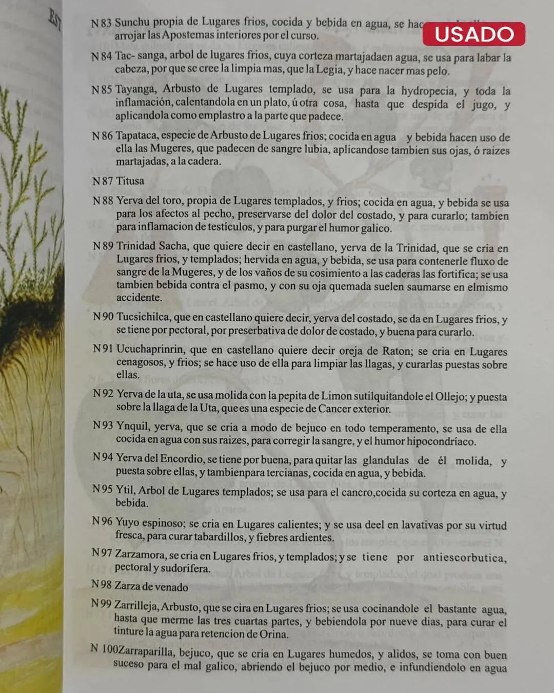 MEDICINA TRADICIONAL. CONOCIMIENTO MILENARIO (SERIE ANTROPOLOGIA N°1 – 2009) - Imagen 3