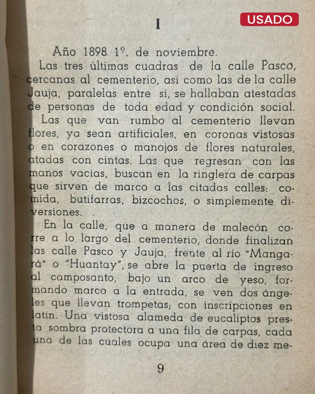 "LA LLAMITA DE CAPIA" O "SIN AMOR Y SIN HOGAR" - Imagen 2