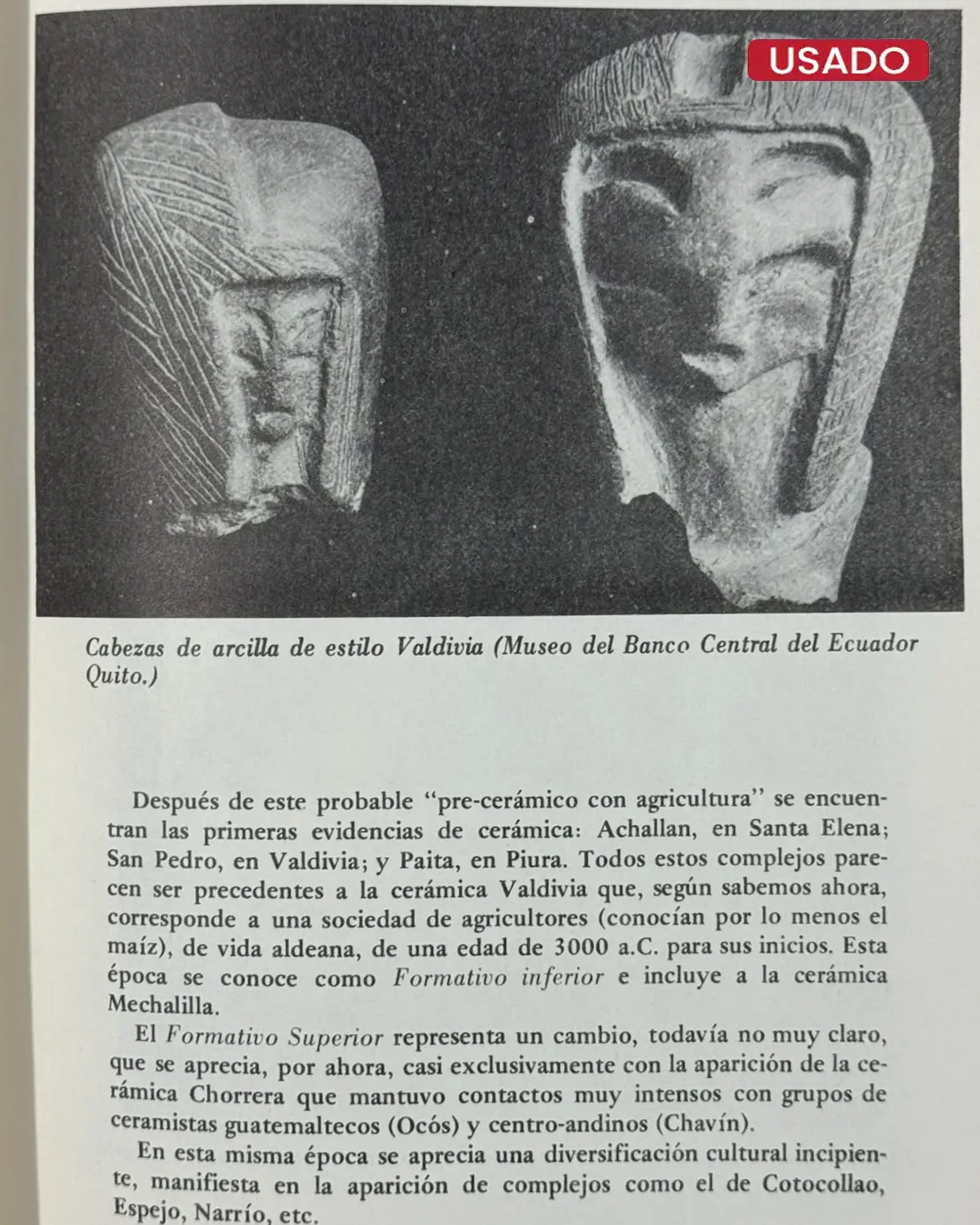 ARQUEOLOGIA DE LA AMERICA ANDINA - Imagen 3
