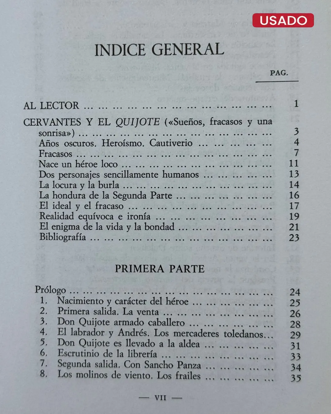 INVITACION AL QUIJOTE - Imagen 2